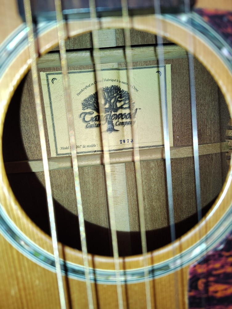 Tanglewood TW73 Classical Guitar 6 String Brown Standard Body with Case
