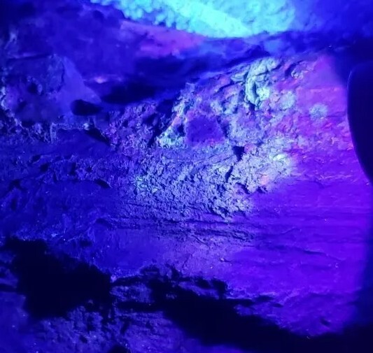 Agatized Opalized Petrified Oregon Fire-scorched Driftwood