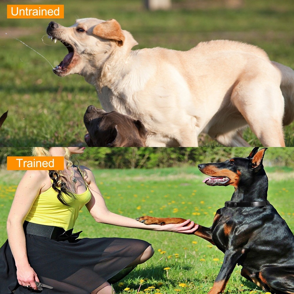 Dog Training Collar Rechargeable Remote Waterproof Electric Shock Pet Training