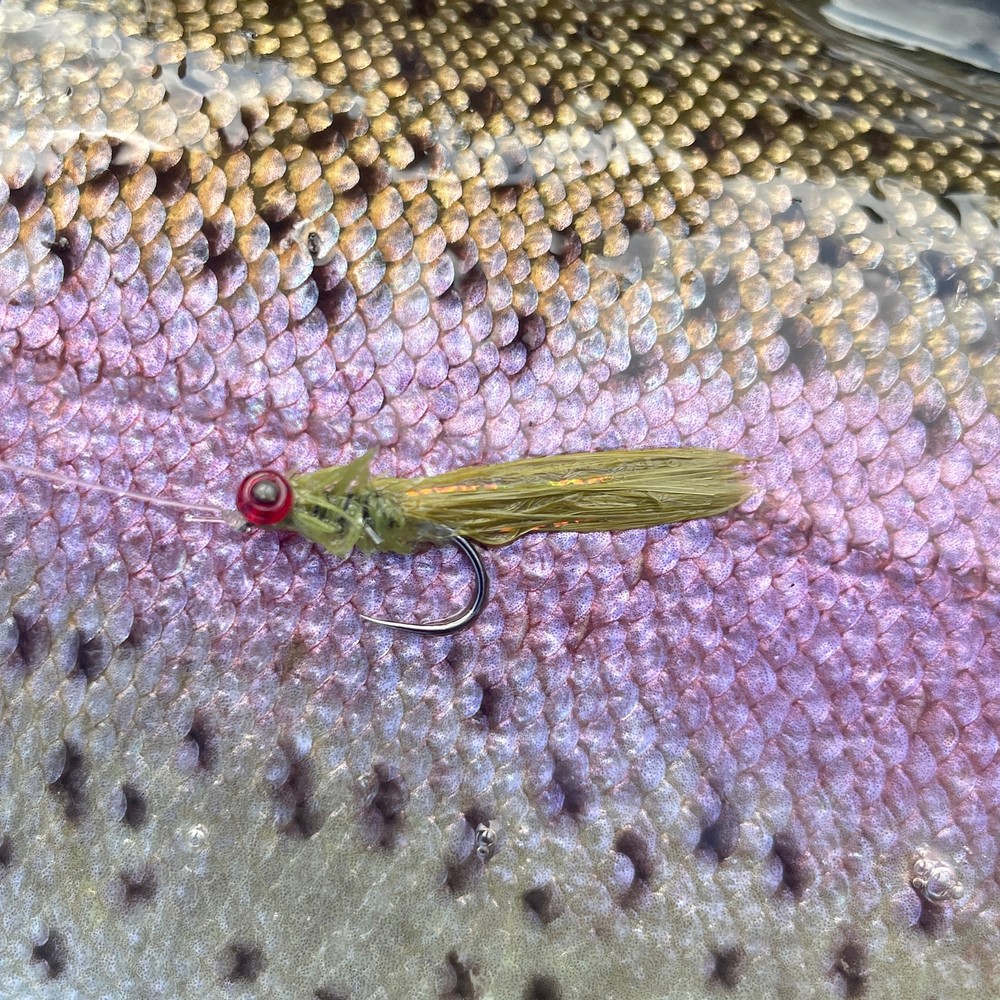 Upavon Bug Body Micro Straggle (3m/pack)