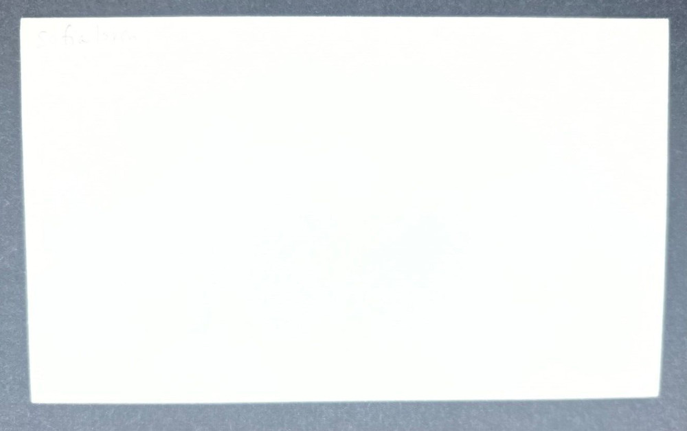SOFIA LOREN ~ Signed/Autographed 3x5 Index Card ~ No COA