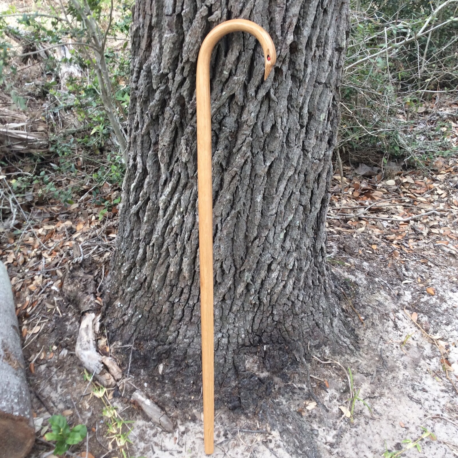 NIGHTHAWK GRAND MASTER HAWK HEAD CANE- MADE IN U.S.A. CUSTOM OAK CANE