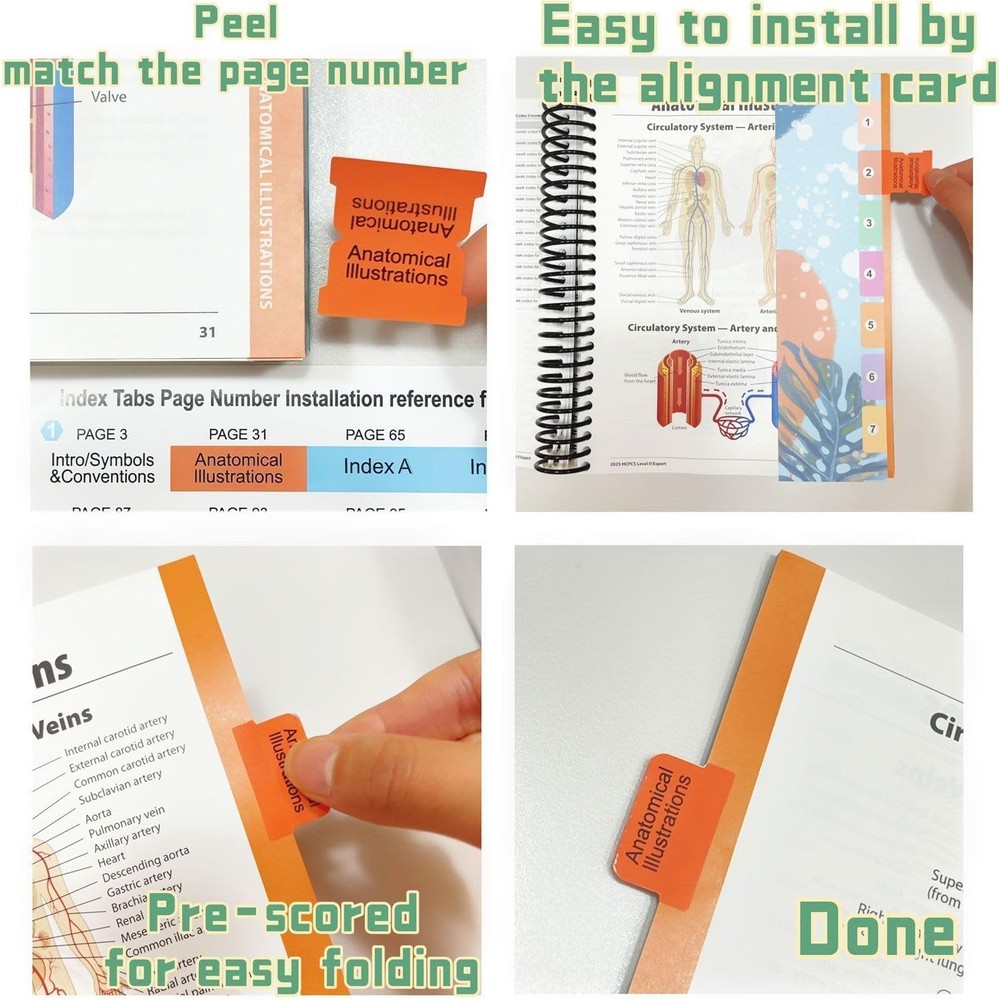 Index Tabs for AMA CPT Book, ICD-10 Code, HCPCS Level II, 3-Set Bundle 2026
