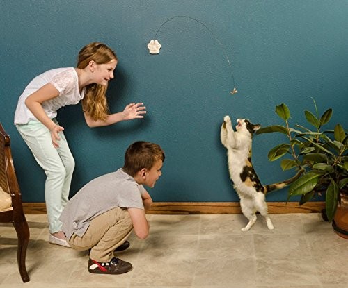 Interactive Cat Toy for Medium Breeds - Engaging Fun and Exercise