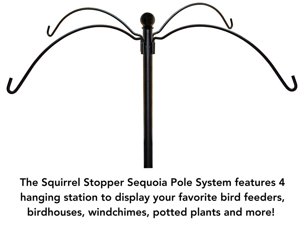 Squirrel Stopper Sequoia Squirrel Proof Bird Feeder Pole System with 4 Hanging