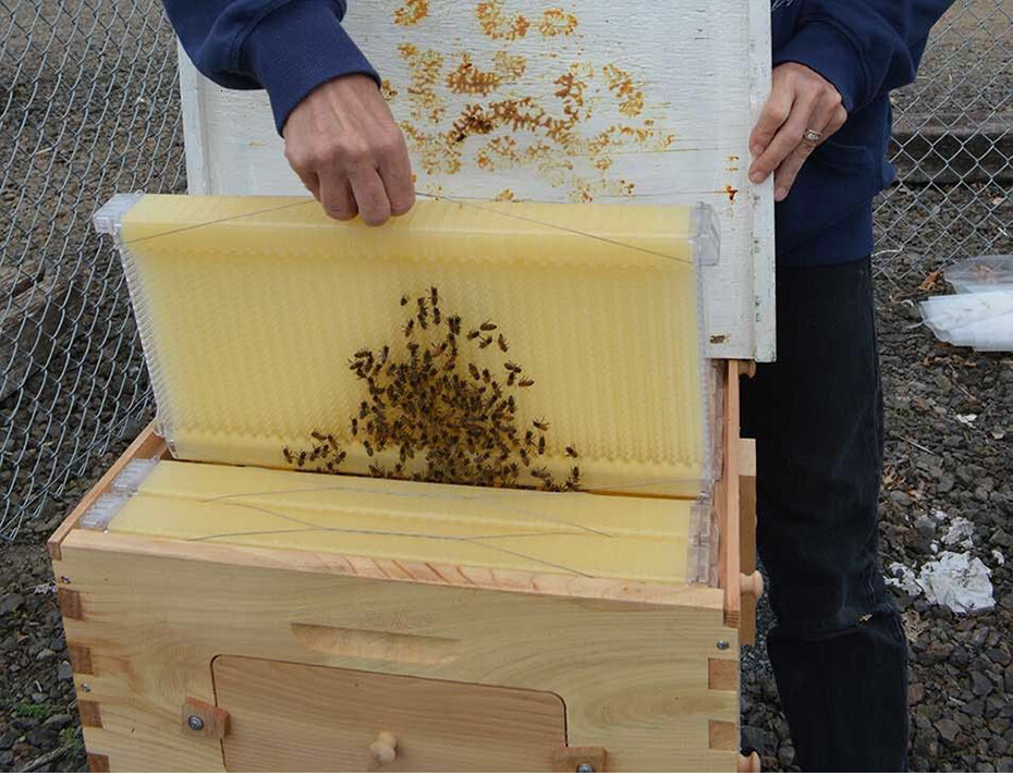 Auto Shed Beehives Super Box + 7 Plastic BPA free Beekeeping Frames Bee Frames
