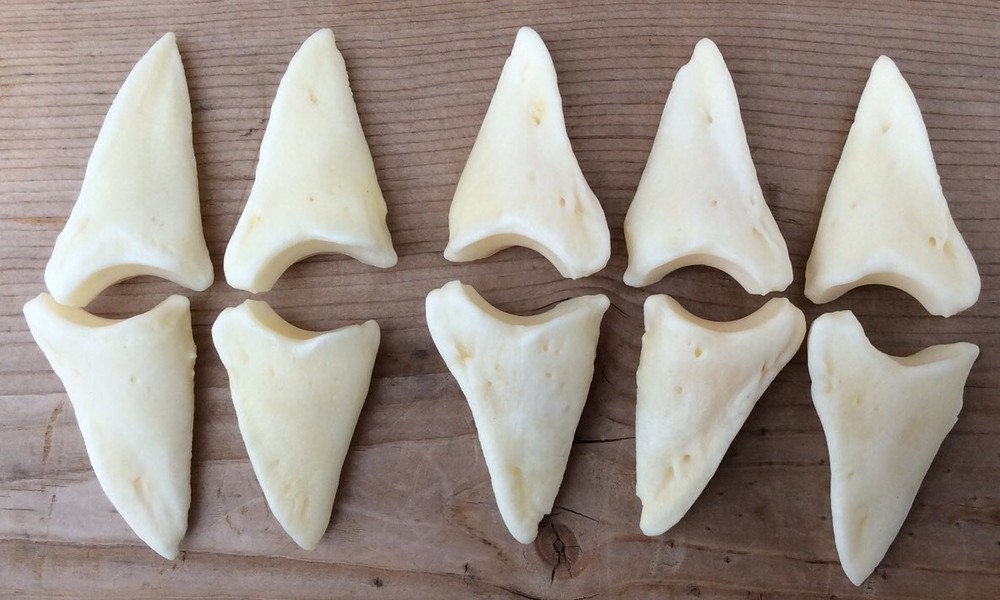 10 Deer Distal Phalanx Bones Knuckle Bones Phalanges