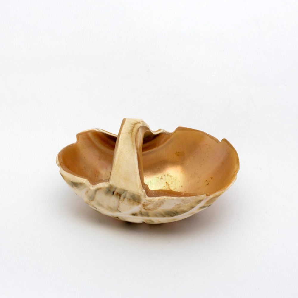 Two Antique Carved Shell Salts