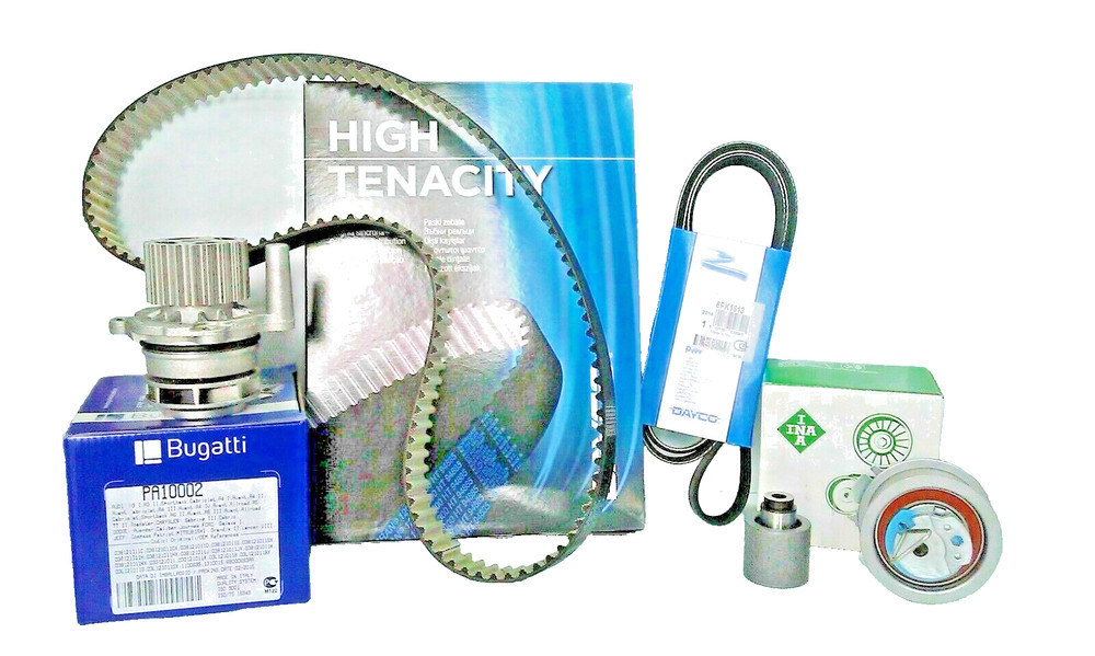 INA DISTRIBUTION KIT + WATER PUMP + BELT SERVICES FOR AUDI - A4 (8EC, B7) - 1.9