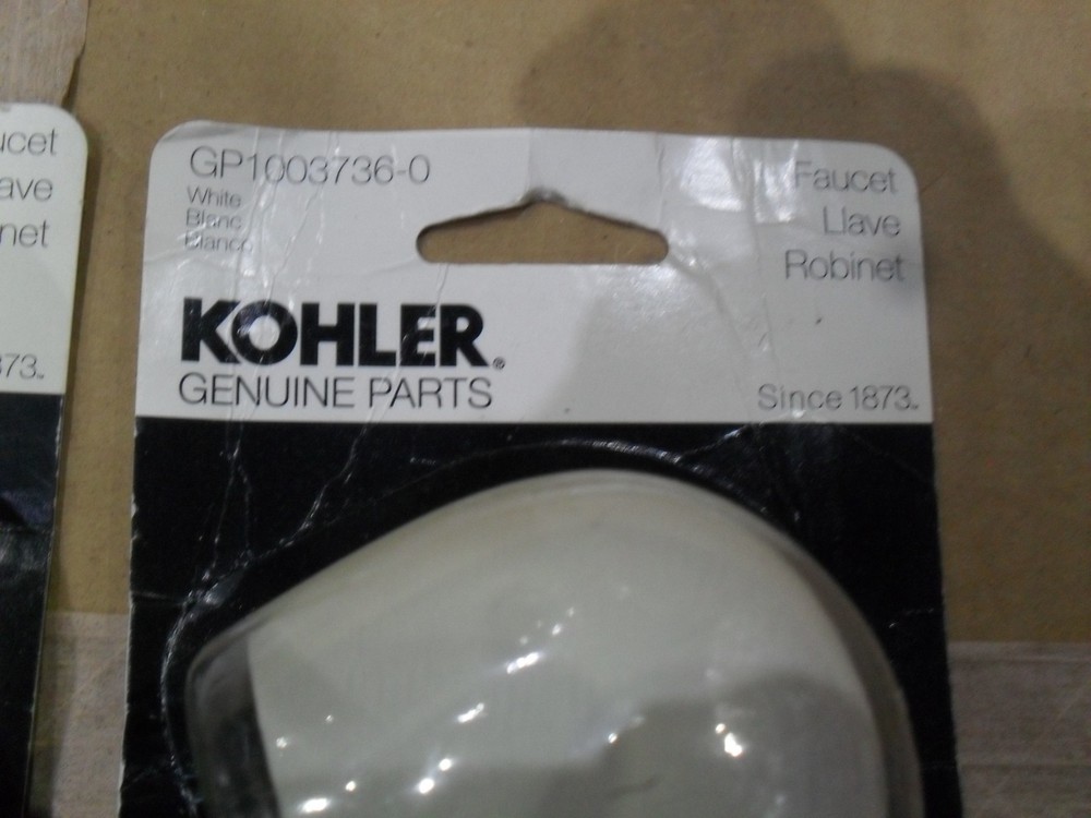 Kohler GP1003736-0 White spray with screen