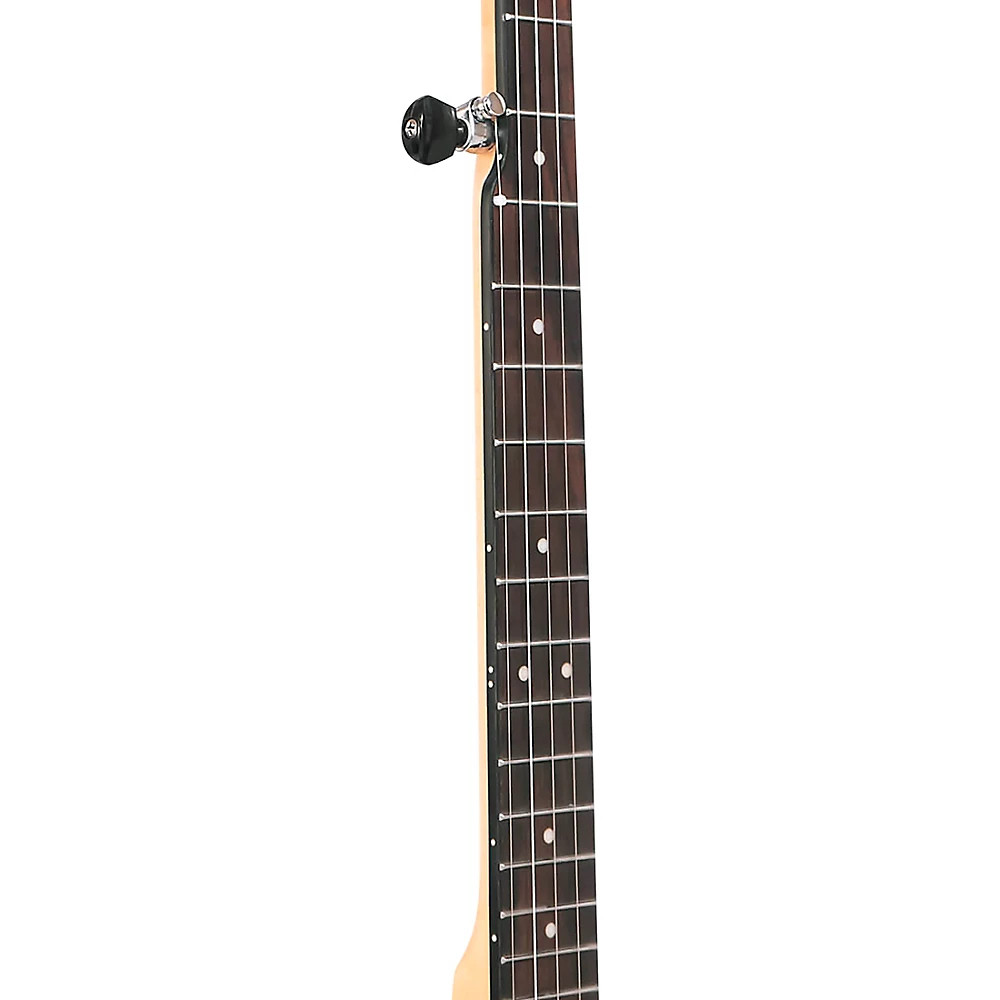 EB-5 Electric Banjo