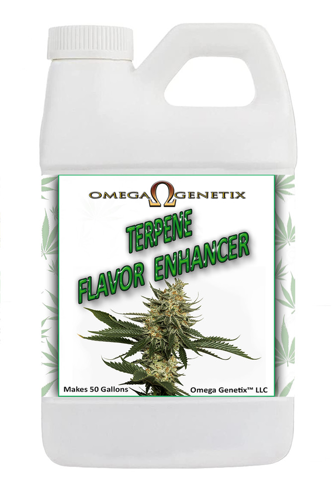 TERPENE FLAVOR ENHANCER