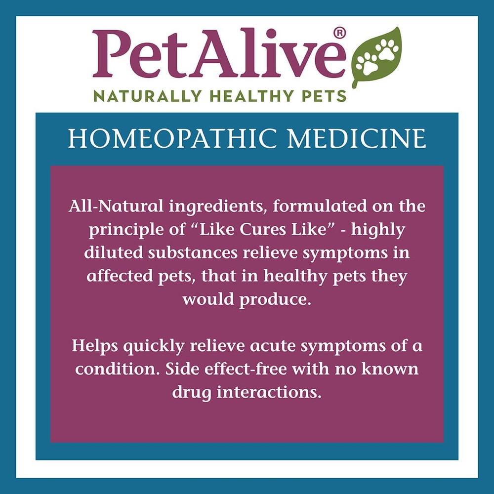 Pet Alive Respiratory ComboPack for Pets