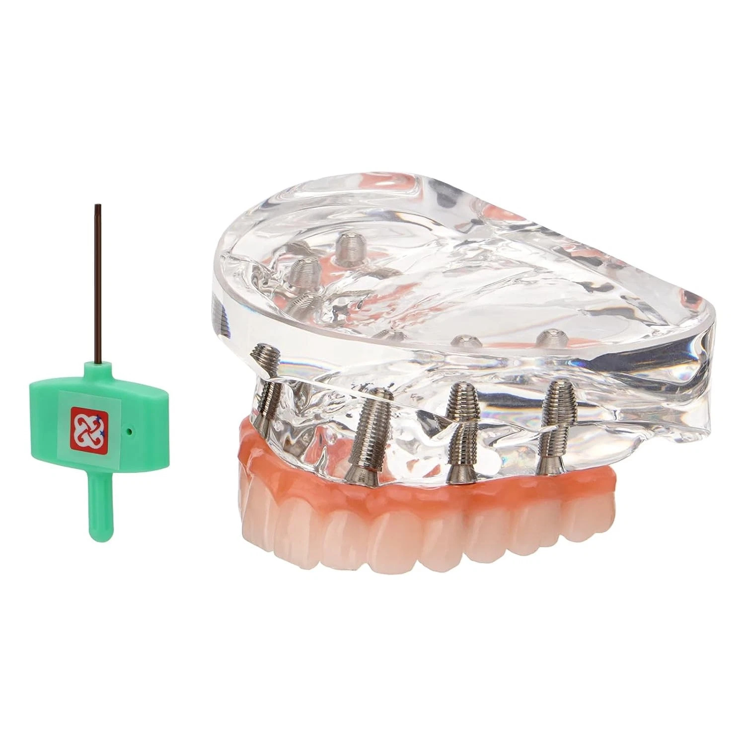 Dental Implant Restoration Model Upper Jaw 6 Screws Post Core Bridges M6001-2 US
