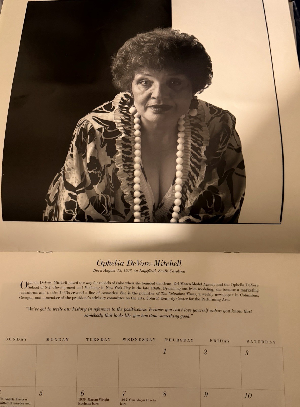 Vtg 1993 Frameable Calendar I Dream A World Alice Walker, Author On Cover