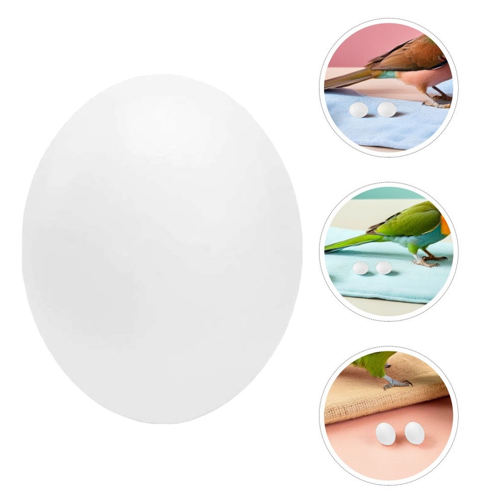 24 Pcs Artificial Bird Eggs for Nesting Budgie Fake Brooding Training