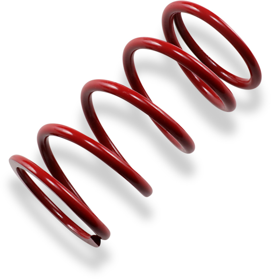 EPI - PS-5 - Primary Spring