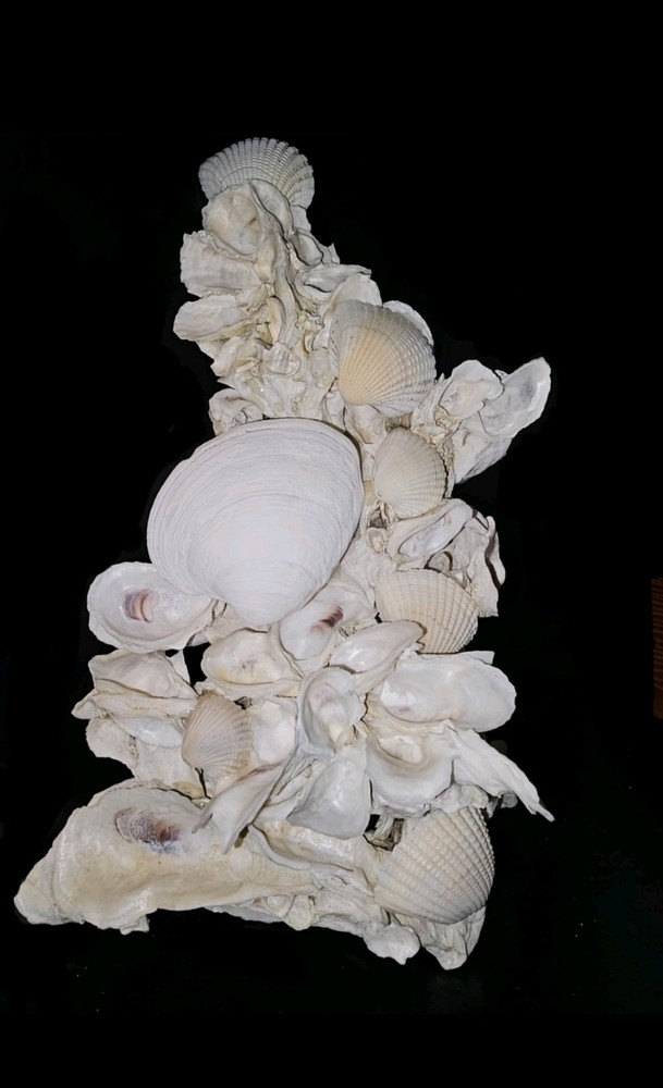 Oyster Shell Sculpture