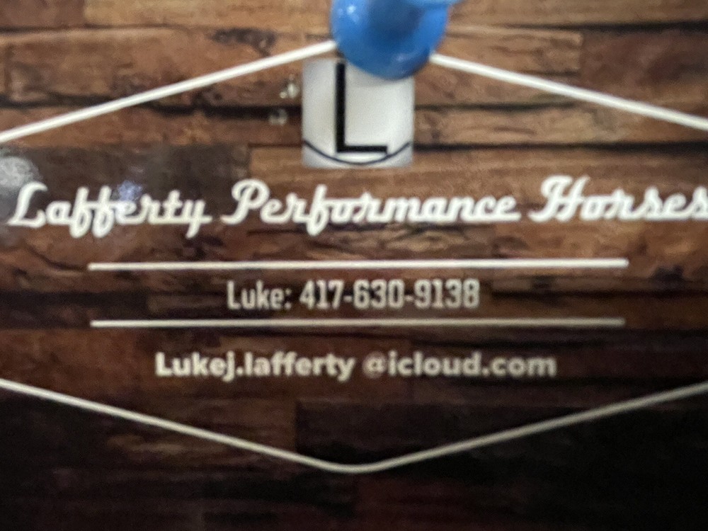 Lafferty Performance Horses. Horse Training, Colt Starting And Lessons .