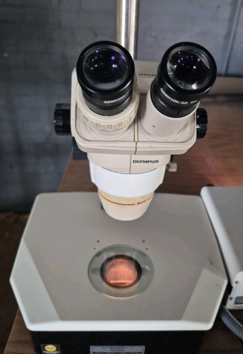 Olympus SZ40 Stereo Microscope System with TLB 3.1 Stand