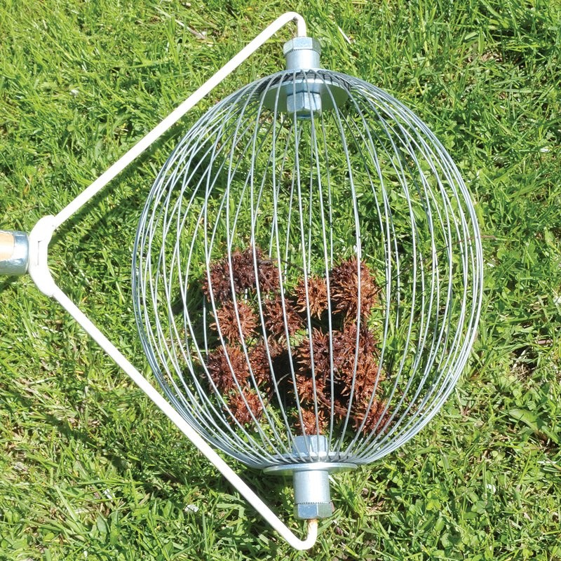 Nut Wizard Gathers, Collects and Picks Up Nuts and Seeds, Available in 3 Sizes