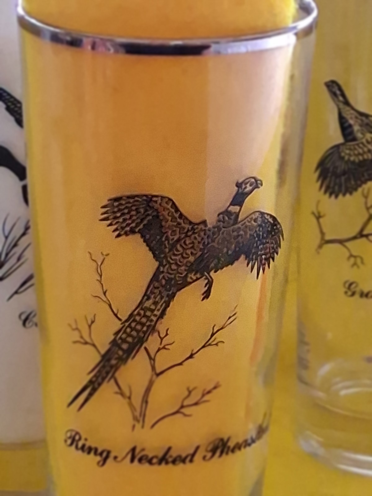 VINTAGE WATERFOWL GAME BIRDS SET OF 7 SILVER RIMMED BARWARE 7" GLASS TUMBLERS