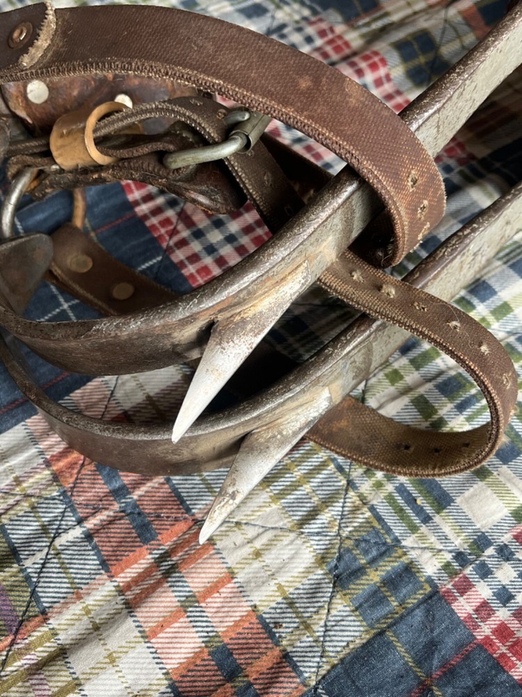 Vintage Bell System Buckingham Lineman Pole Tree Climbing Spikes