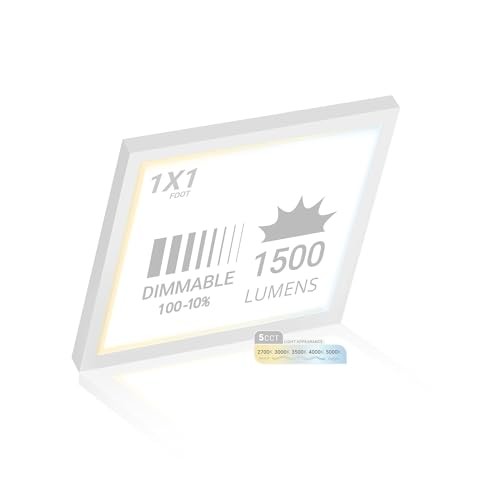 1x1 FT LED Square Surface Mount Panel, 5CCT 2700K/3000K/3500K/4000K/5000K