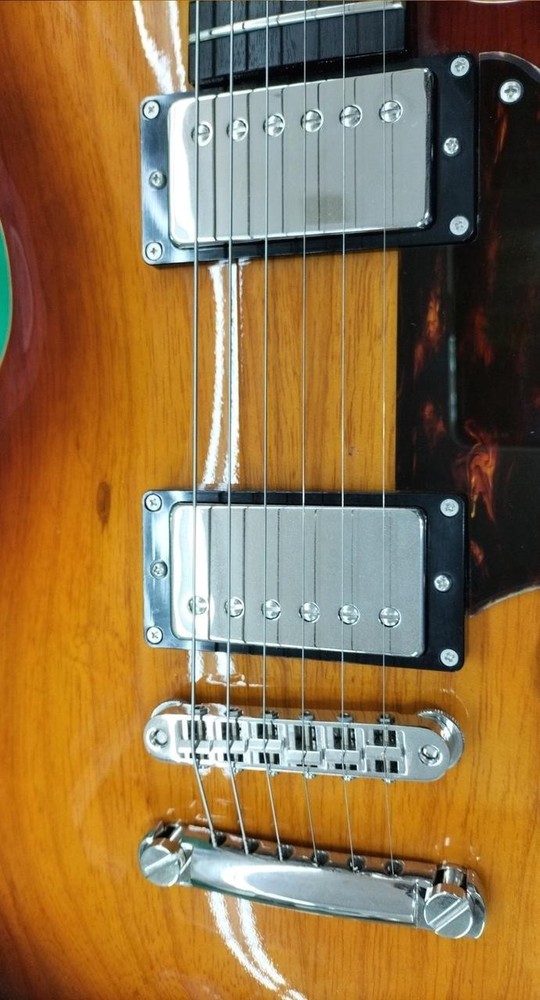 RYOGA CICADA-G2E Electric Guitar