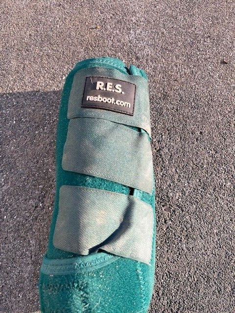Horse Boots- various