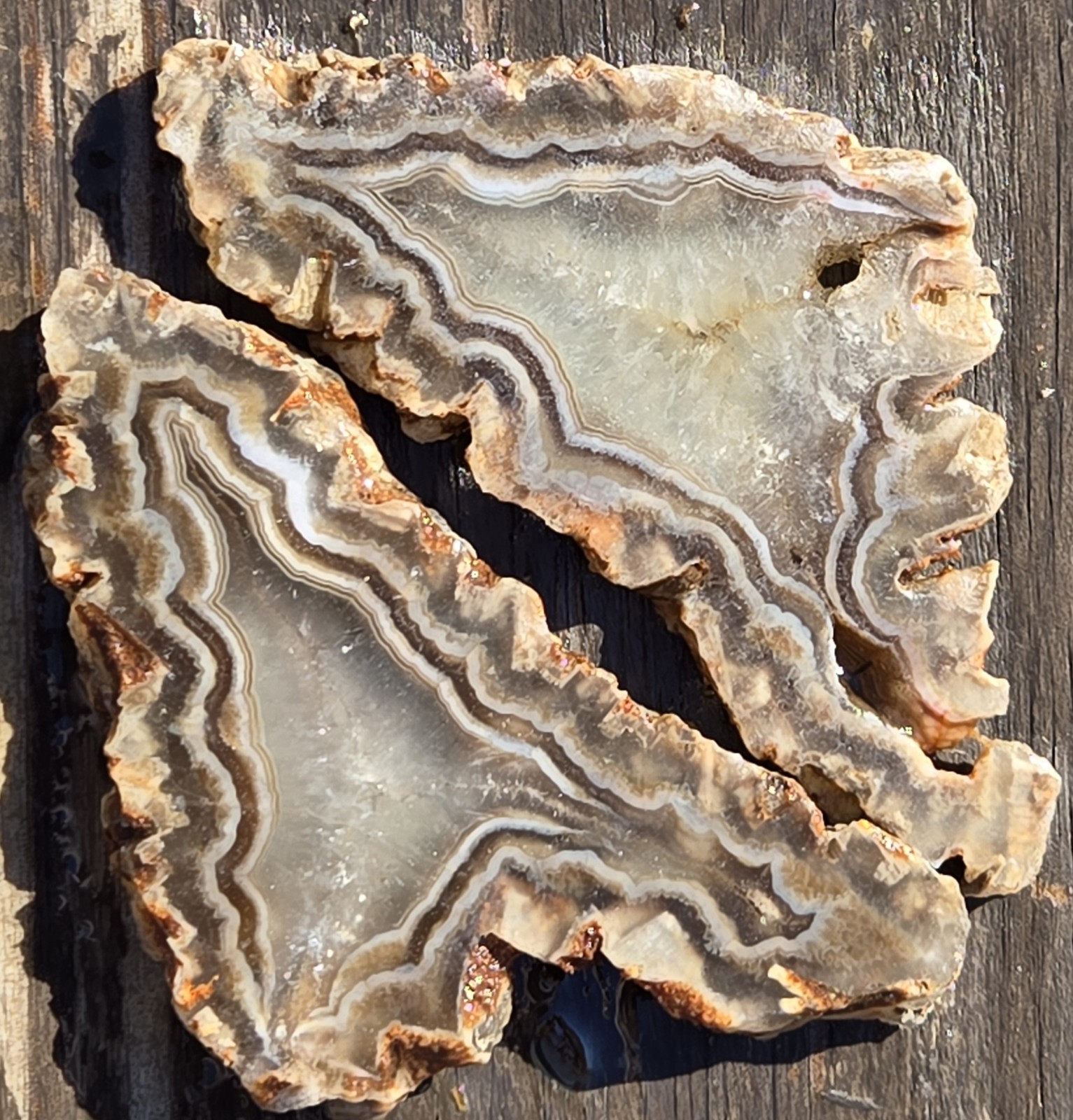 Turkish Agate Slabs Slices From One Stone Matching Lapidary Unique