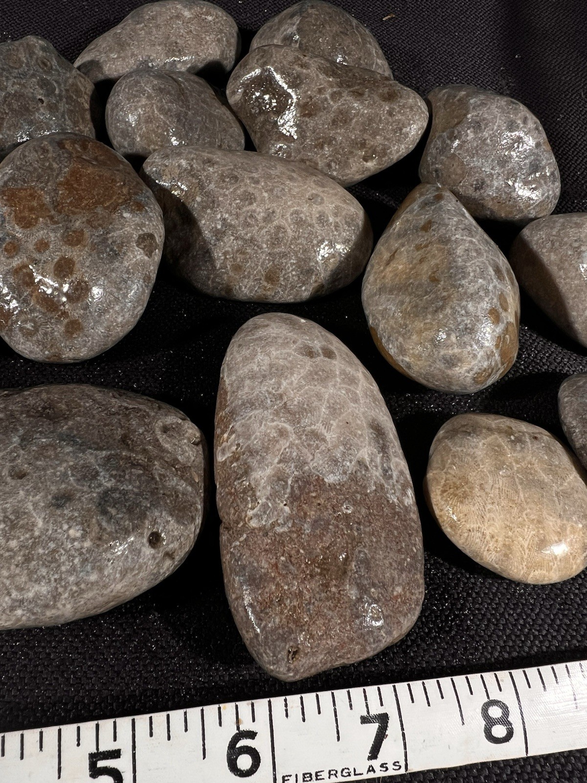 Parsley Stone Rough 3 lb 13 oz 15 in lot Michigan, good hexagonal patterns