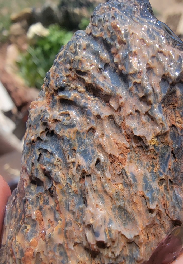 3.06lbs Small Medium agotized Dino Bone Reds