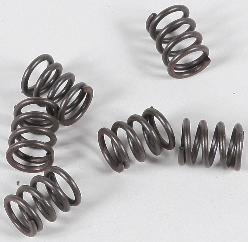 EBC CSK Clutch Spring Set (CSK21)
