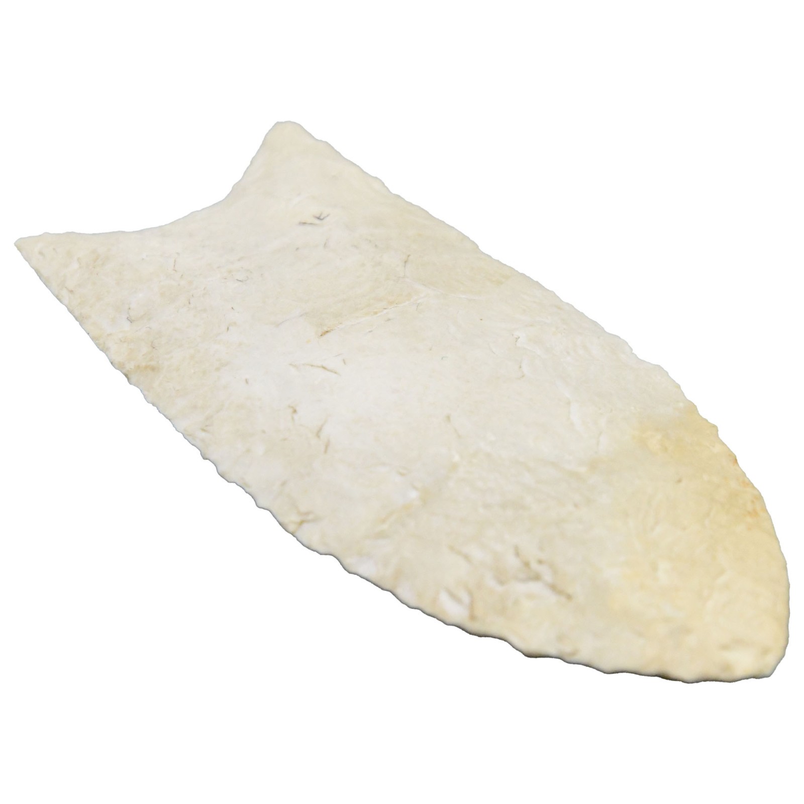 Clovis Point White Mint Condition 3" Long 1.5" Wide Brown County, Illinois