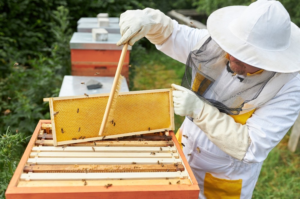 Bee-Sweet Liquid Bee Feed