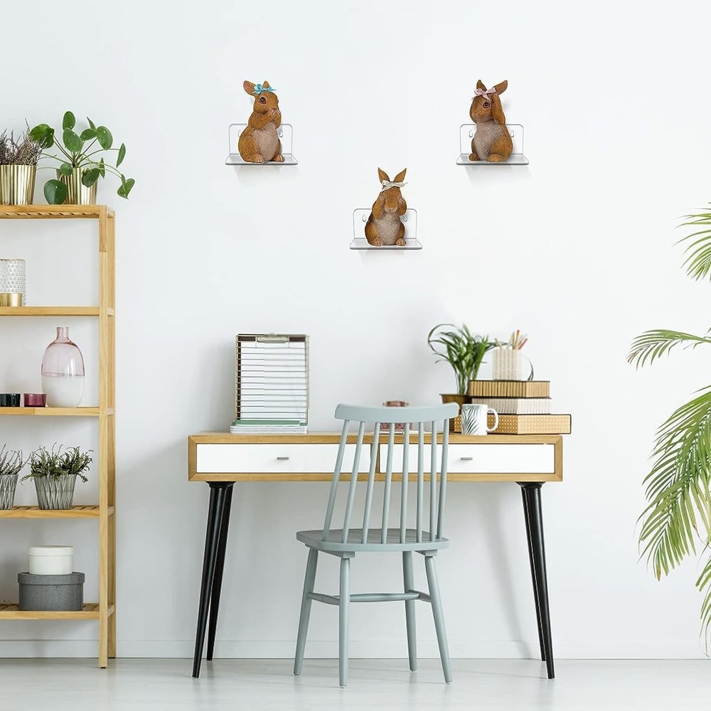 Acrylic Small Shelf,Mini Floating Wall Shelf,Wall Mounted Storage S...