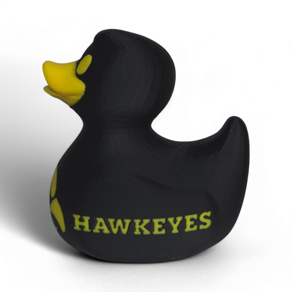 Iowa Hawkeyes Duck