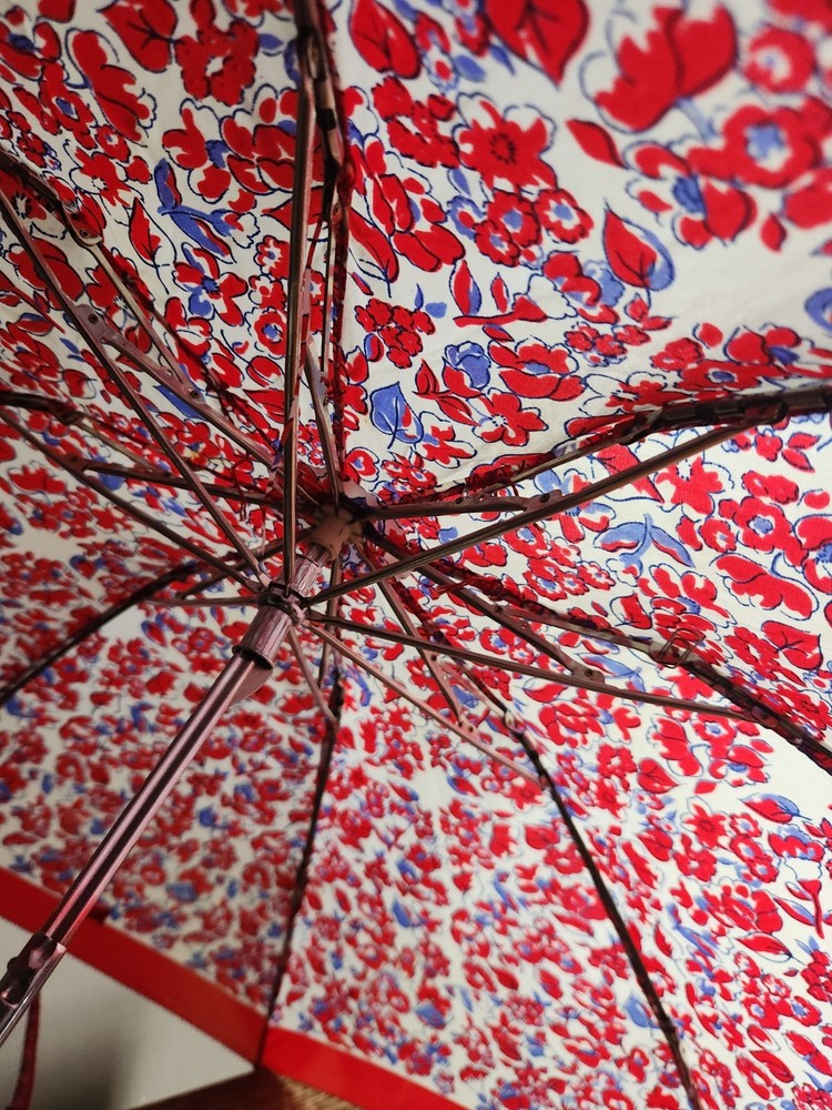 Floral Pattern Women's Folding Compact Umbrella • Blue, White, & Red Colored