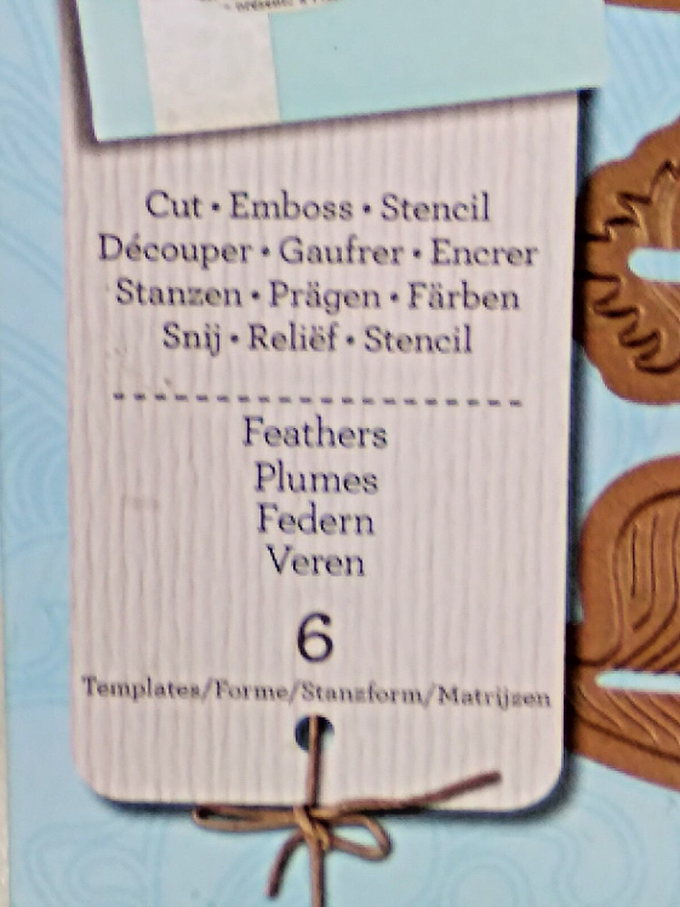 Spellbinders ~Shapeabilities ~FEATHERS ~6 Template Set ~S4-428