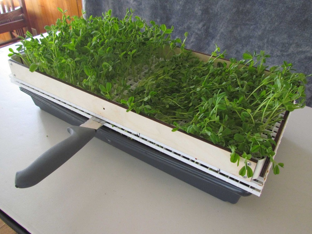 SPEEDY REAPER - 4-Pack - Microgreens Harvest System - Simple, quick & efficient