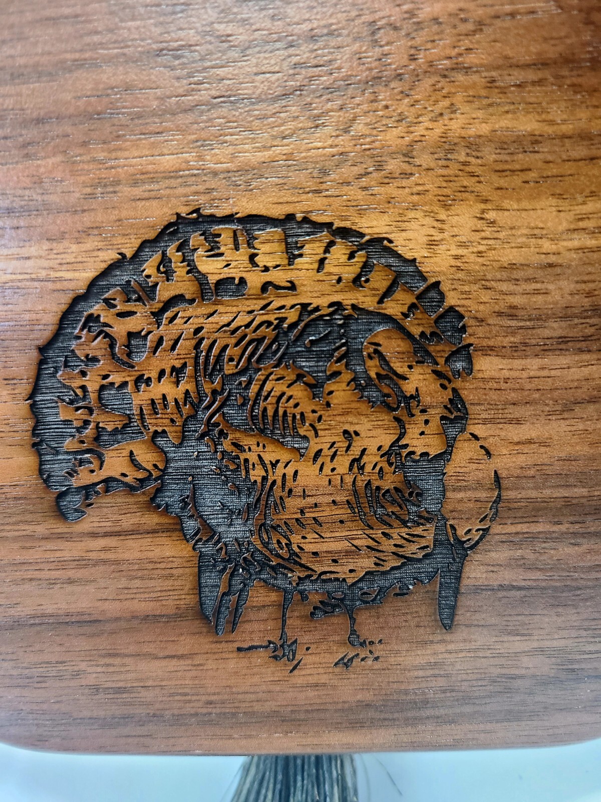 Walnut Turkey Fan Display Kit with Lazer Engraving