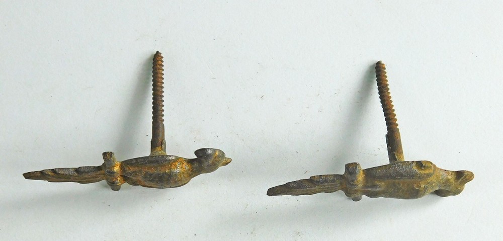 Pair asymmetrical Parrot picture hanging screws.