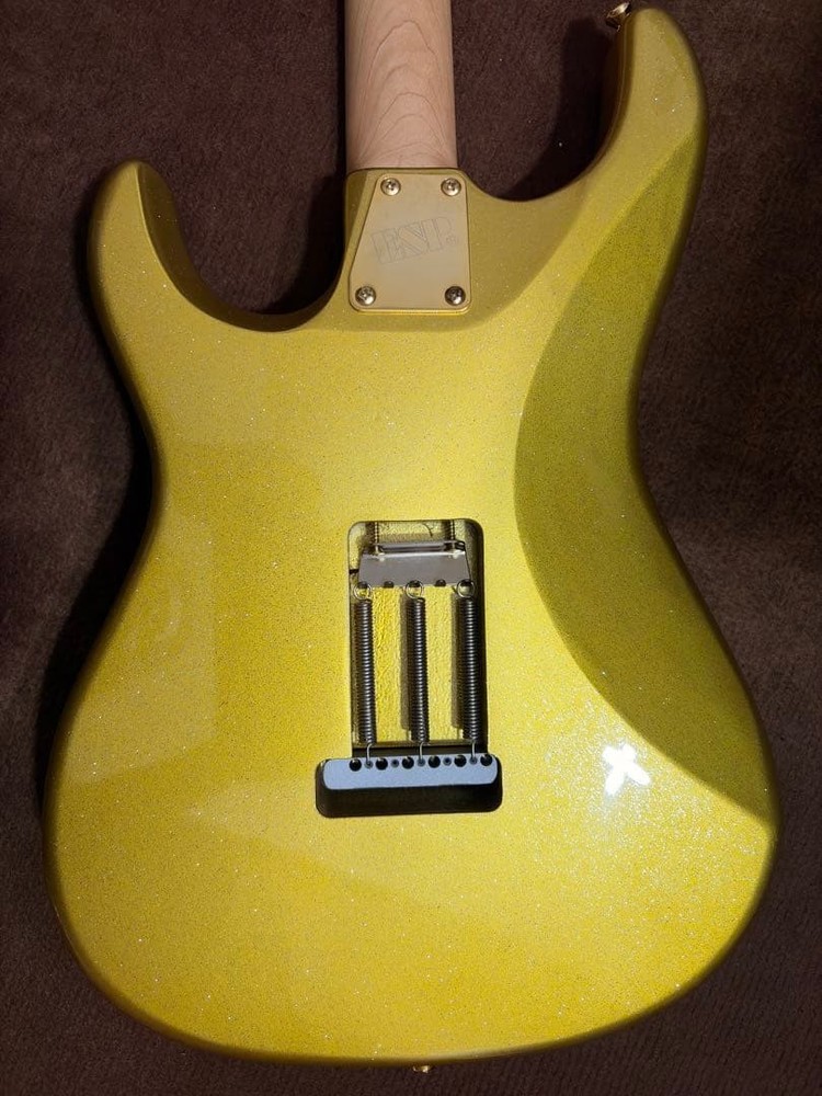E-SNAPPER TO -Eclipse Gold- (Takayoshi Ohmura Model)