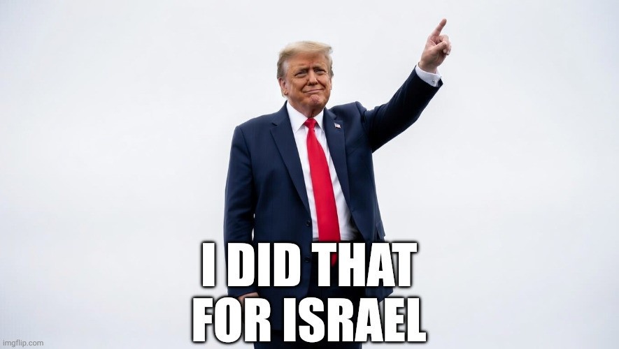 9 x Trump I Did That stickers