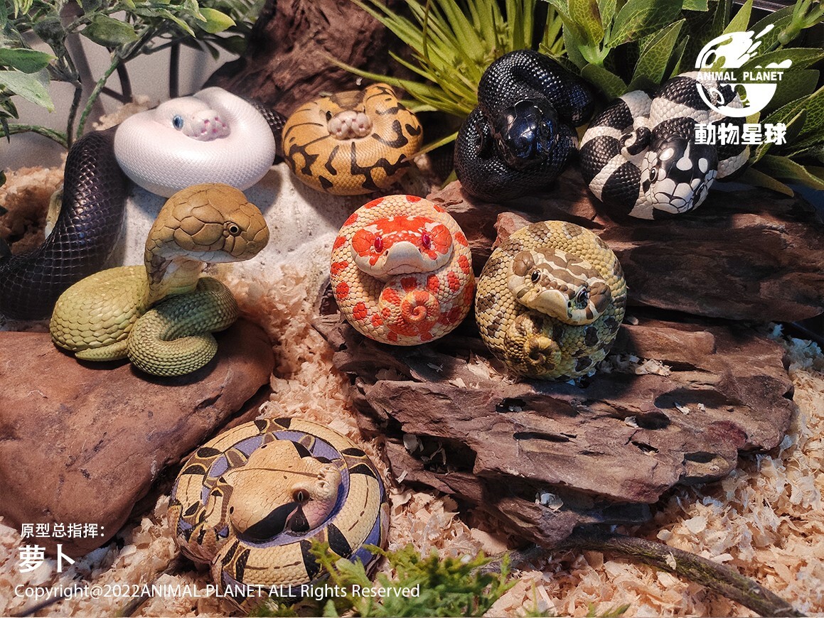 【In-Stock】 Animal Heavenly Body Extreme Red Hognose Collectible Snake Statue