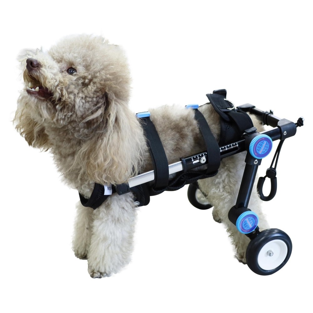 Lincy's Adjustable Dog Wheelchair Stroller (Extra Small / Small) - "Open Box"