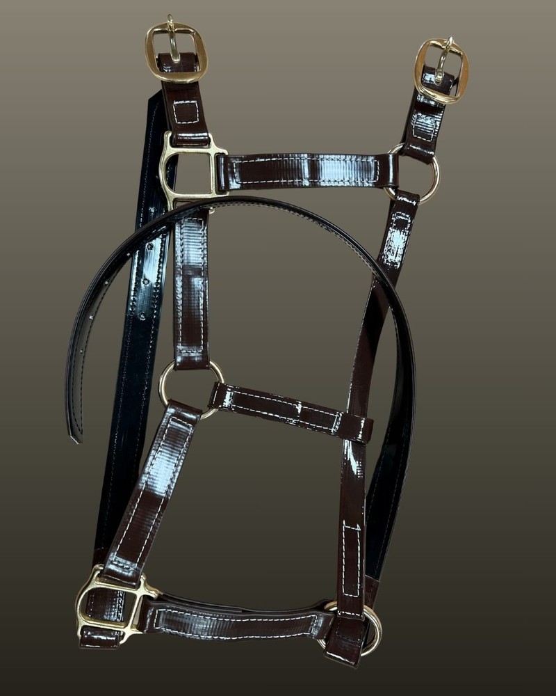 Auscoat PVC Headstall - Solid Brass - Warmblood, Draft -16 Colours