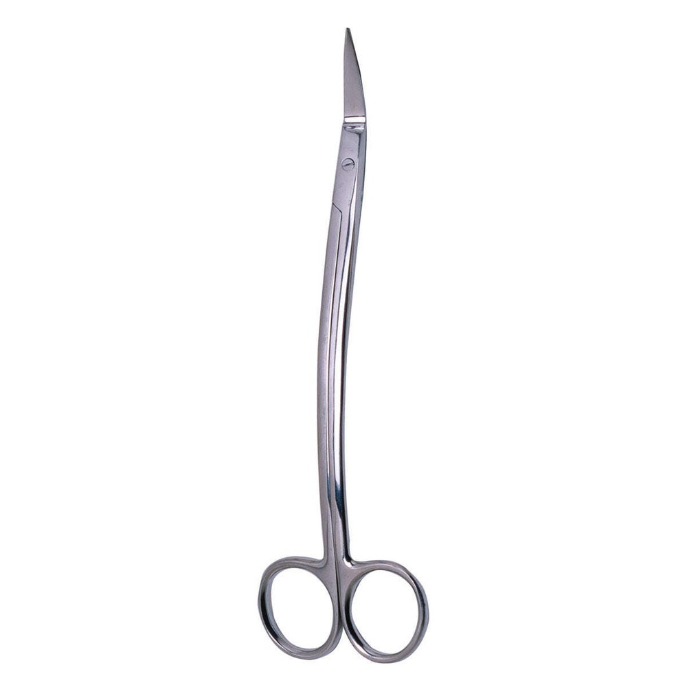 Dean Curved Scissors