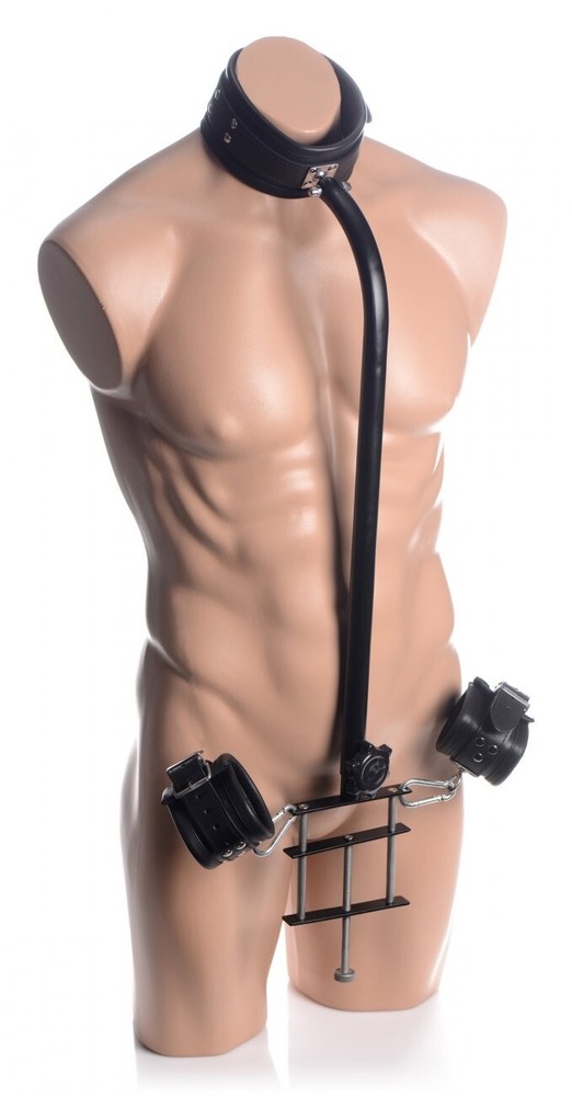 Penis Pillory by Master Series